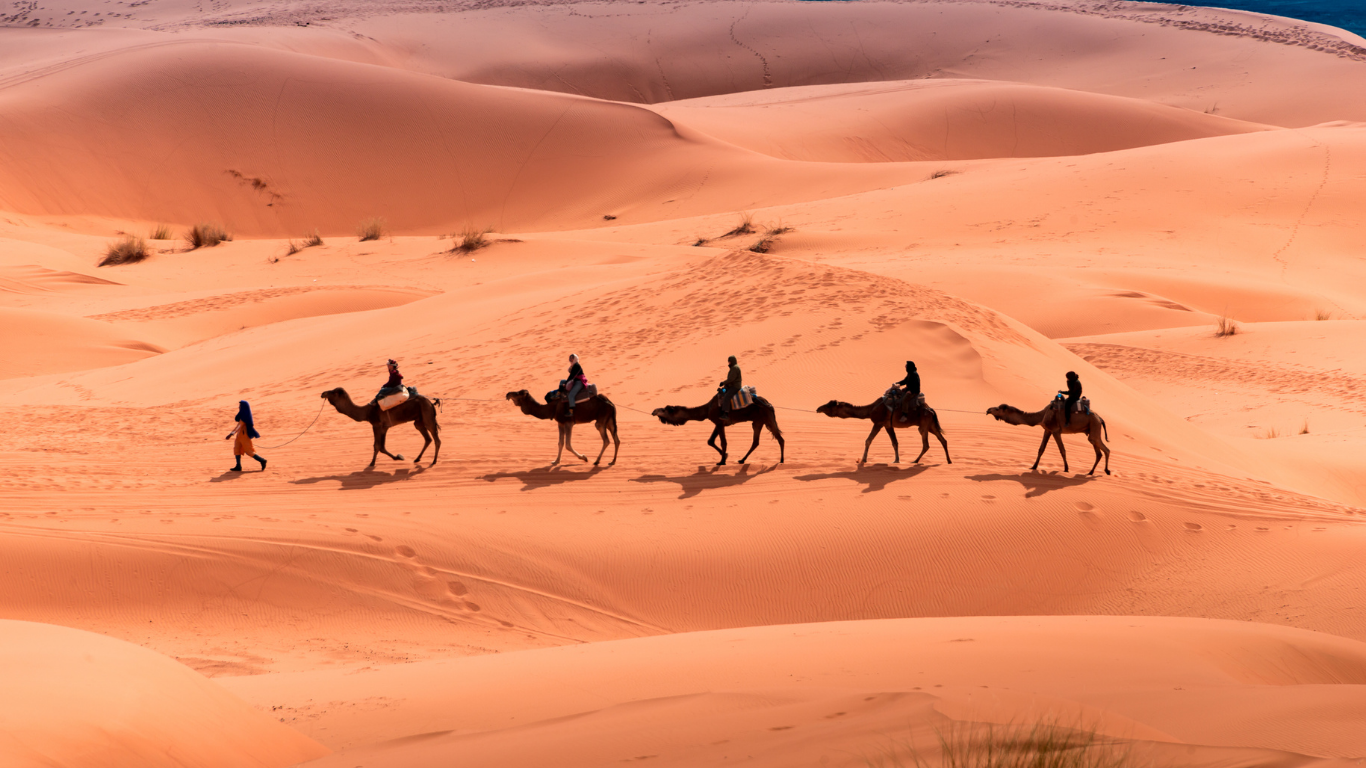 Camels in the Merzouga desert of Morocco, 3 Days Tour from Fes to Merzouga Desert