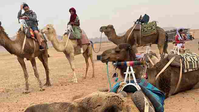 Scenic view of Zagora in Morocco with its stunning desert landscape and camel trikking ,4 Days Desert Tour from Agadir Morocco