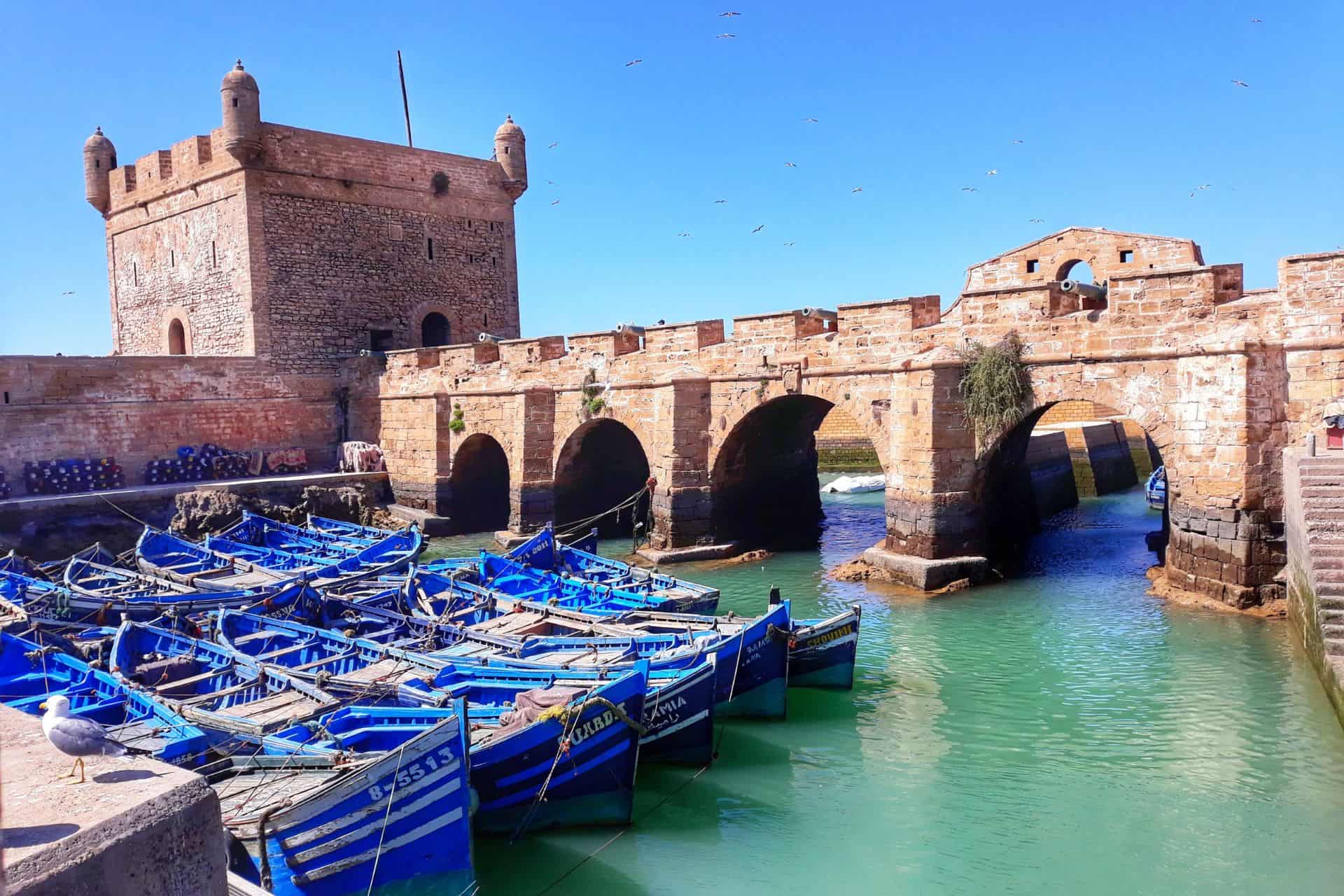 Best Coastal Spots in Morocco for Student