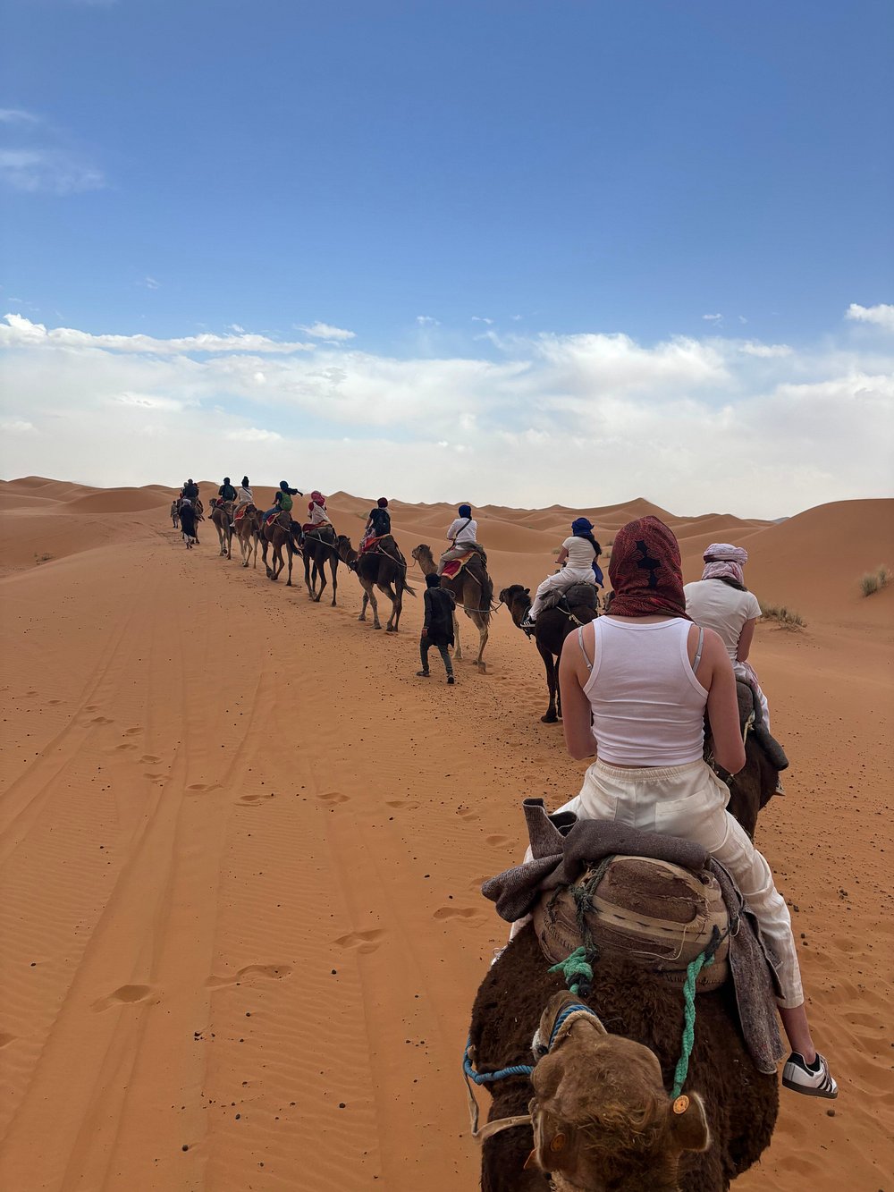 Student Travel Guide to Morocco