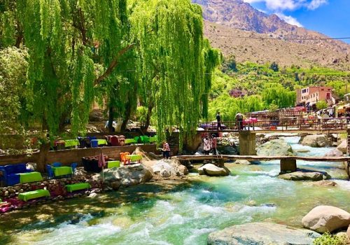 Marrakech Day Trips to ourika valley